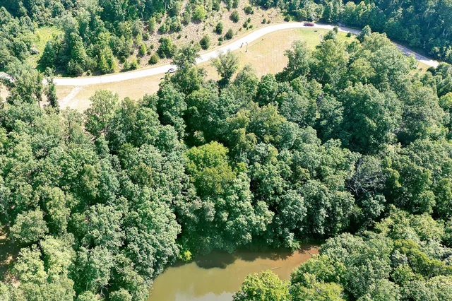 an aerial view of a house with a yard and covered with lake view