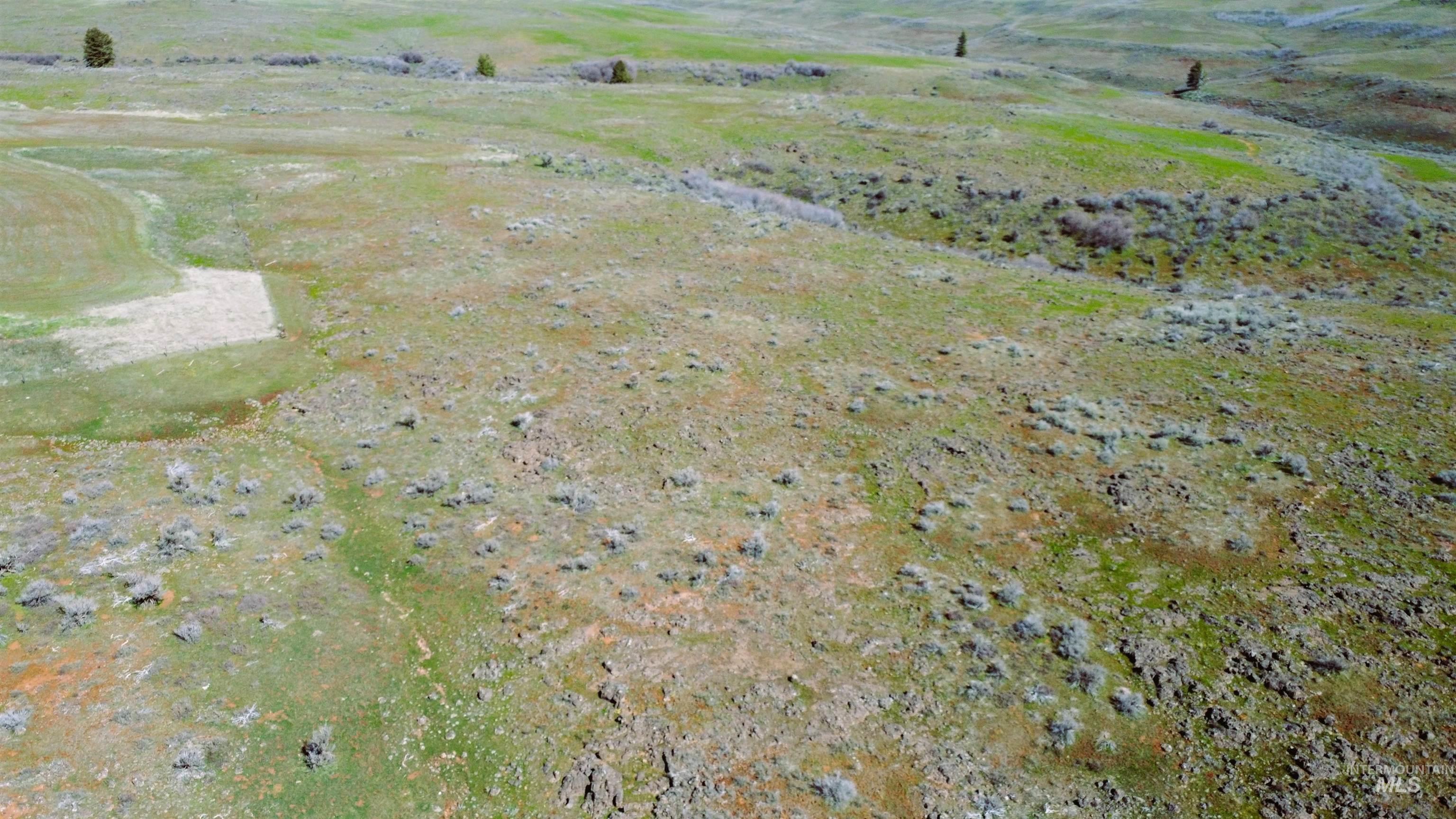 Tbd North Fork Ridge Road Council, ID 83612 - Photo 13 of 32 View of rural area