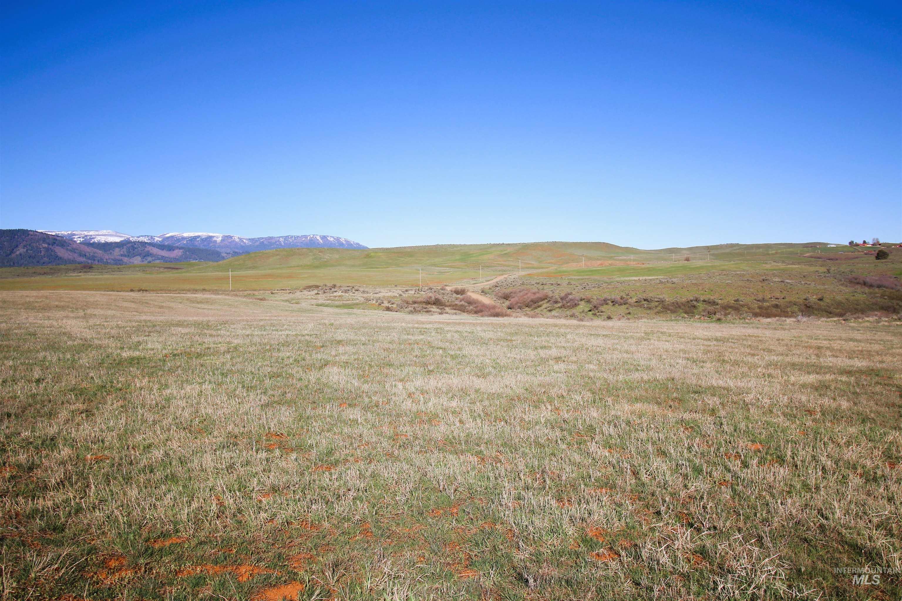 Tbd North Fork Ridge Road Council, ID 83612 - Photo 24 of 32 View of mountain backdrop featuring rural landscape