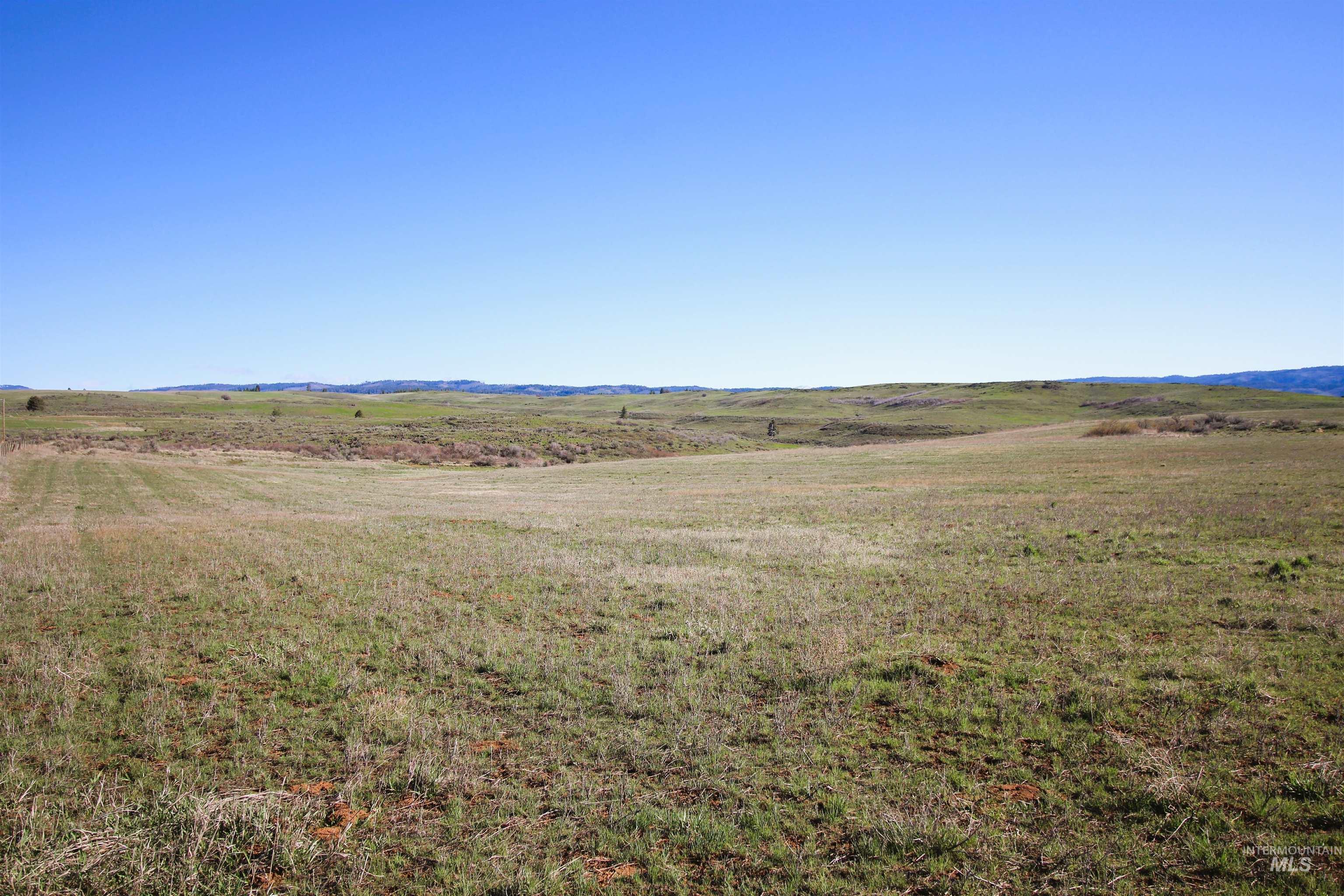 Tbd North Fork Ridge Road Council, ID 83612 - Photo 26 of 32 View of mountain background with rural landscape