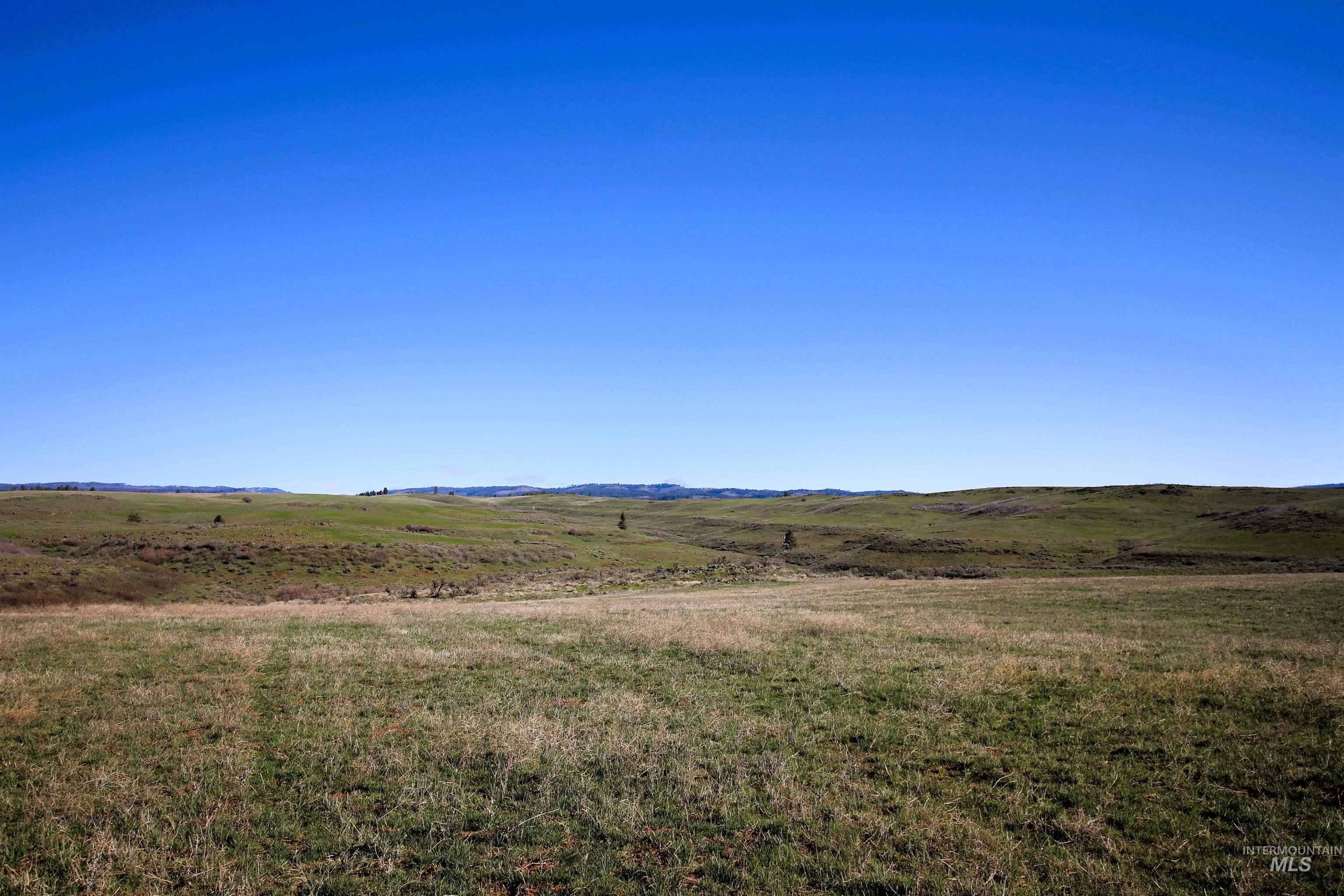 Tbd North Fork Ridge Road Council, ID 83612 - Photo 29 of 32 Mountain view featuring rural landscape