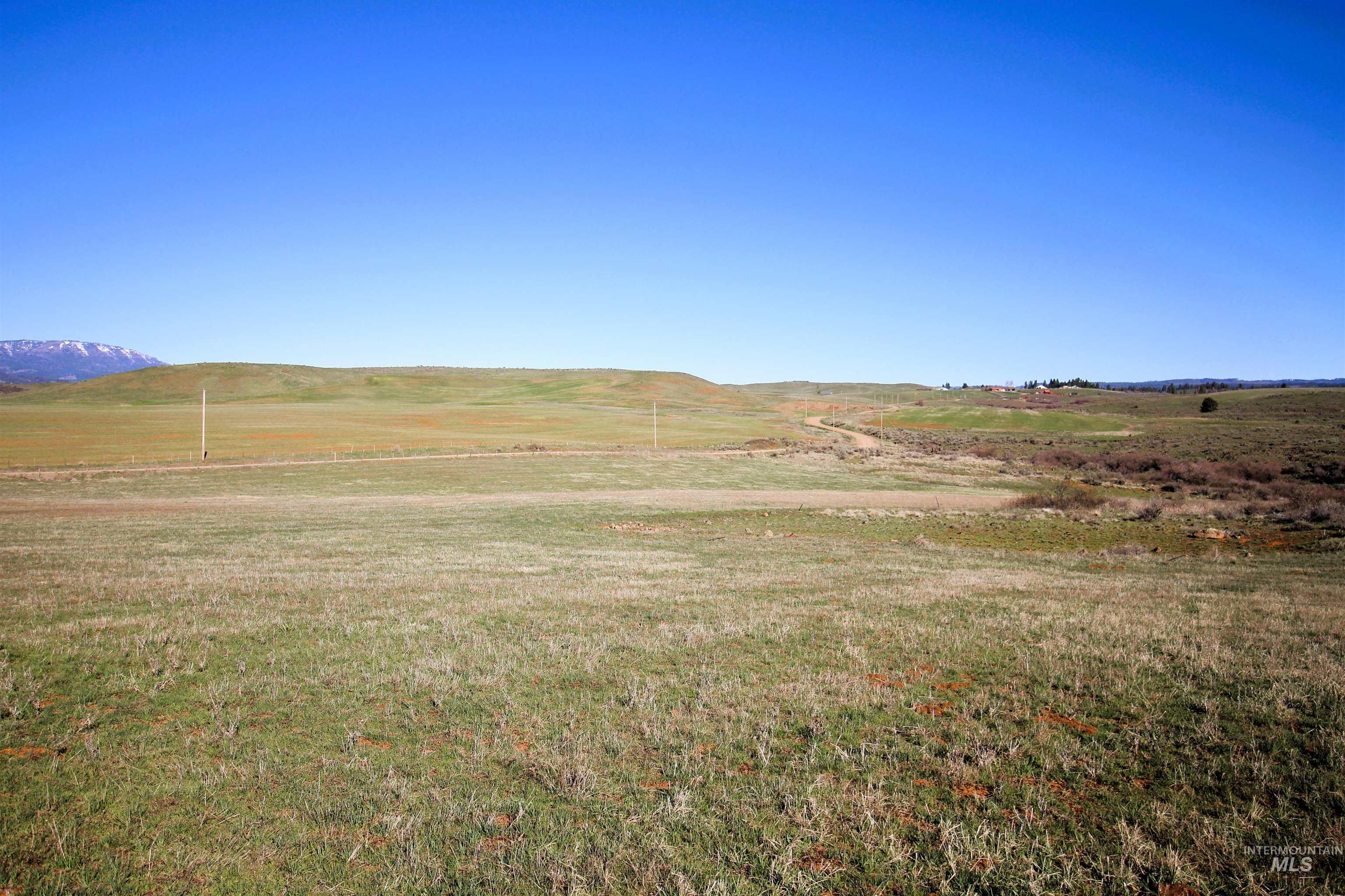 Tbd North Fork Ridge Road Council, ID 83612 - Photo 31 of 32 View of green lawn featuring a mountain view