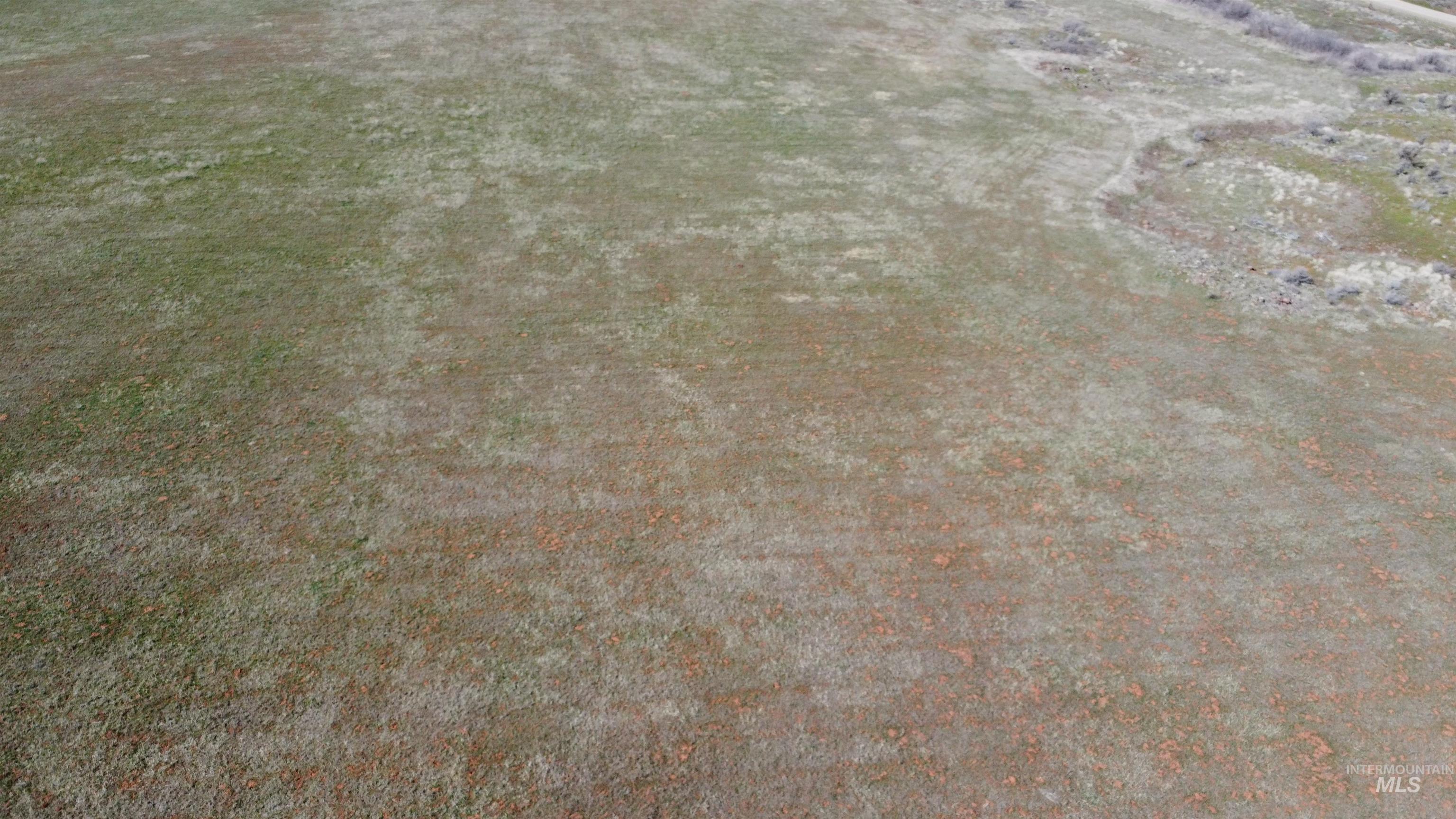 Tbd North Fork Ridge Road Council, ID 83612 - Photo 5 of 32 Detailed view of carpet