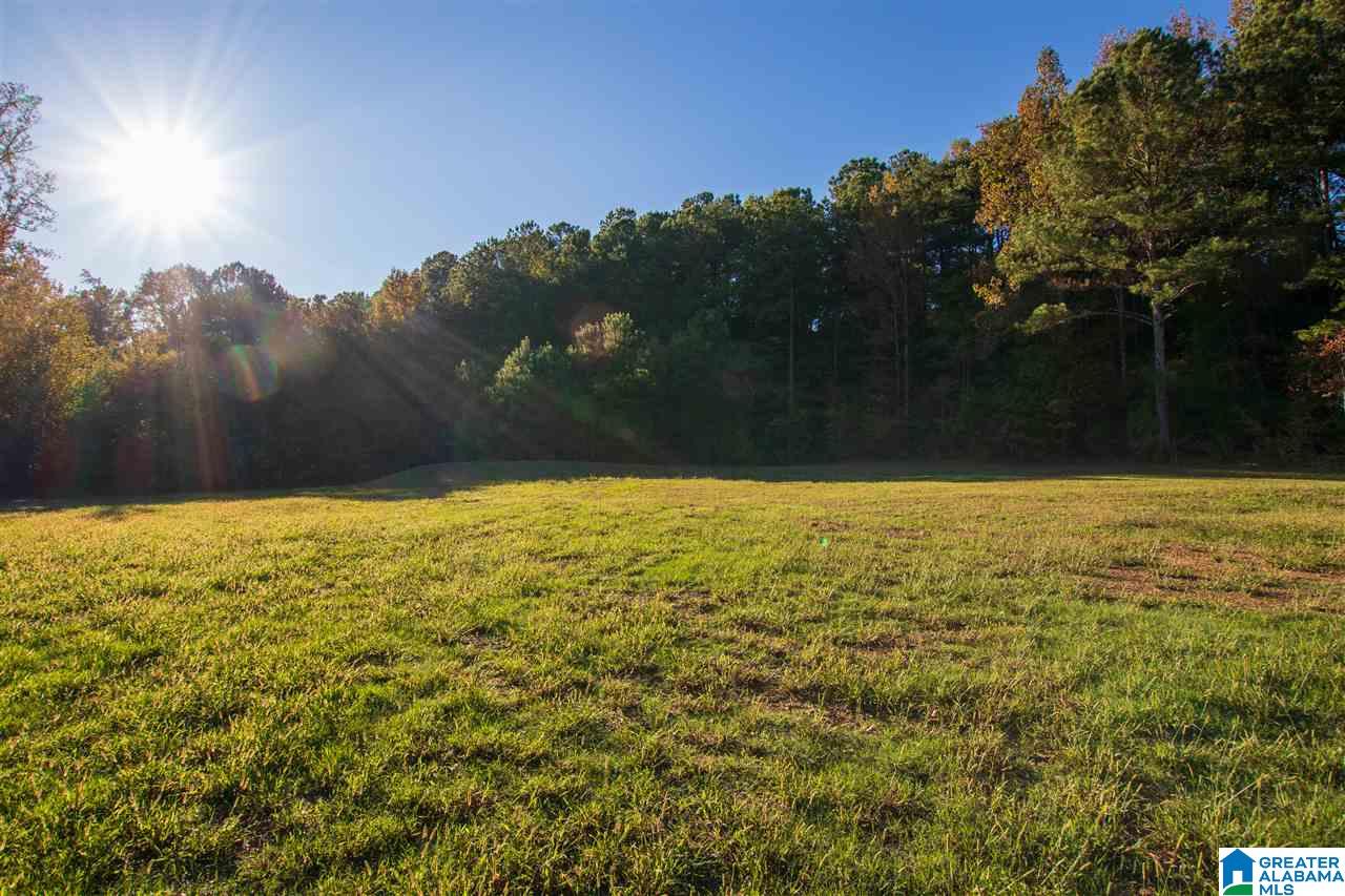 353 Mountain Gap Road Blountsville, AL 35031 - Photo 35 of 35