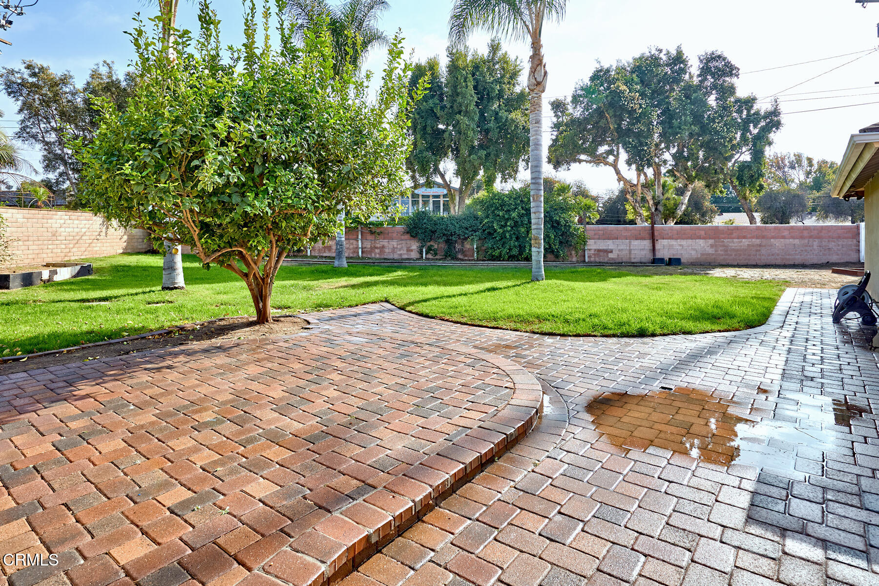 1700 Arlene Avenue Oxnard, CA 93036 - Photo 21 of 29 a view of a park with large trees
