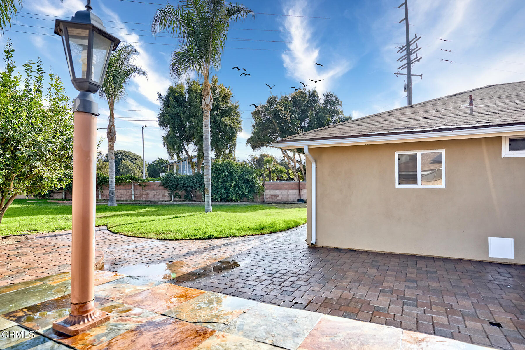 1700 Arlene Avenue Oxnard, CA 93036 - Photo 25 of 29 a view of a backyard with large trees