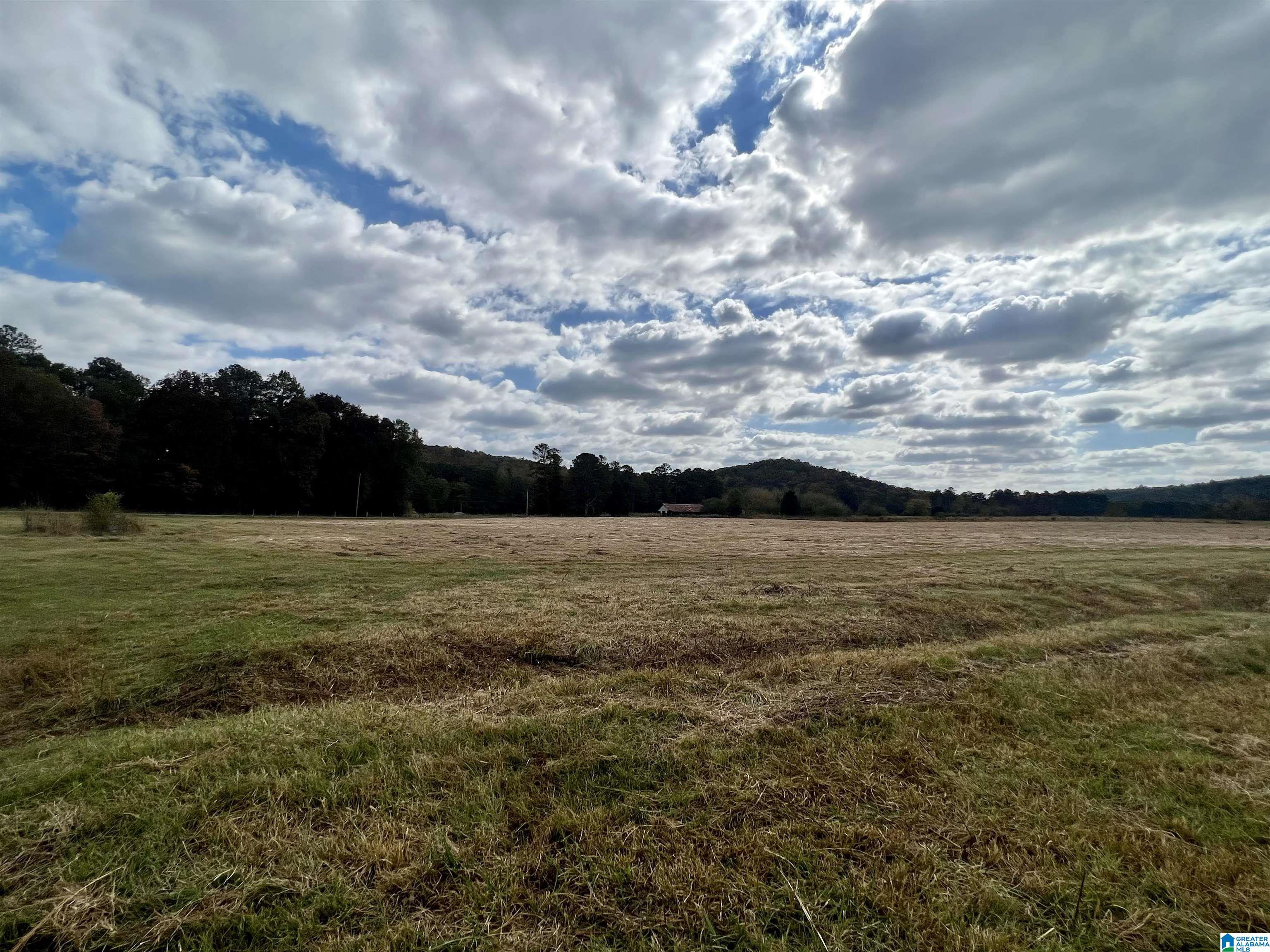 0 Rock Springs Road, Unit 52 24 Warrior, AL 35180 - Photo 24 of 39
