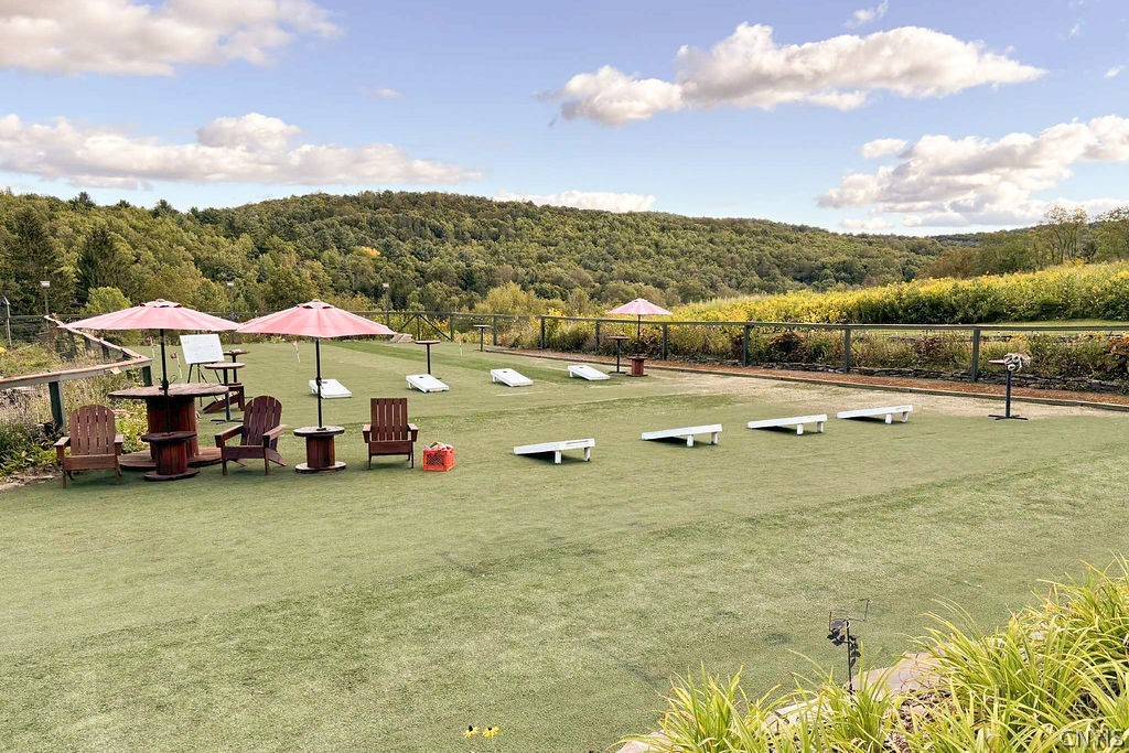 304 Sutherland Road, Unit 2 East Meredith, NY 13757 - Photo 9 of 50