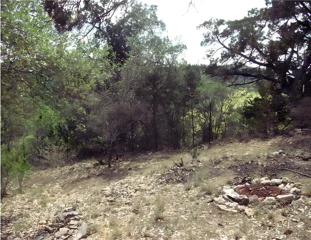 a view of outdoor space and trees