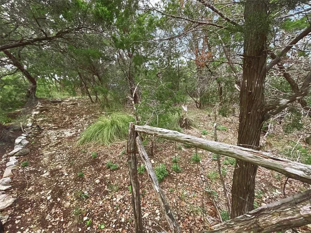 a view of a two large trees