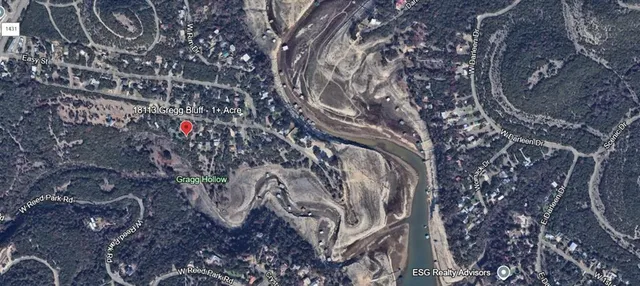 a close up of a tree