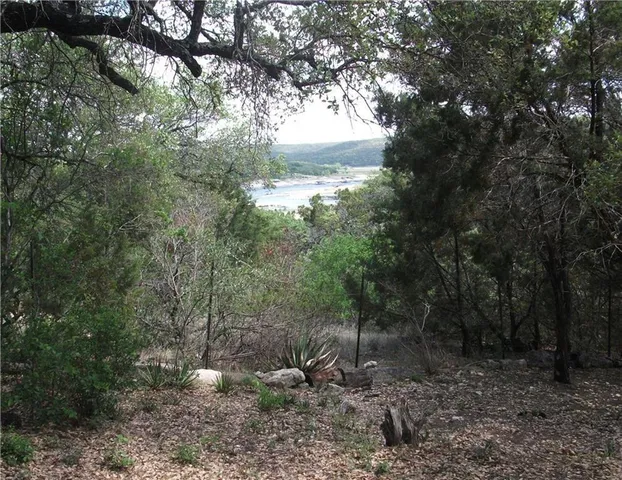 a view of a forest that has large trees