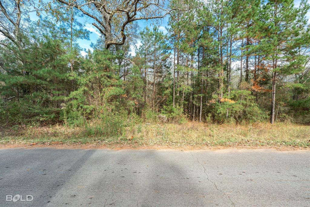 0 Camelia Street Vivian, LA 71082 - Photo 12 of 13 View of asphalt road