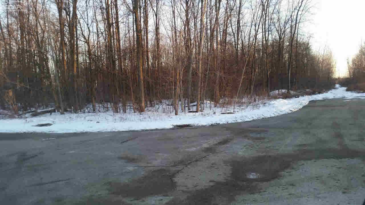 0 Stonebrook Lane Flushing, MI 48433 - Photo 7 of 7