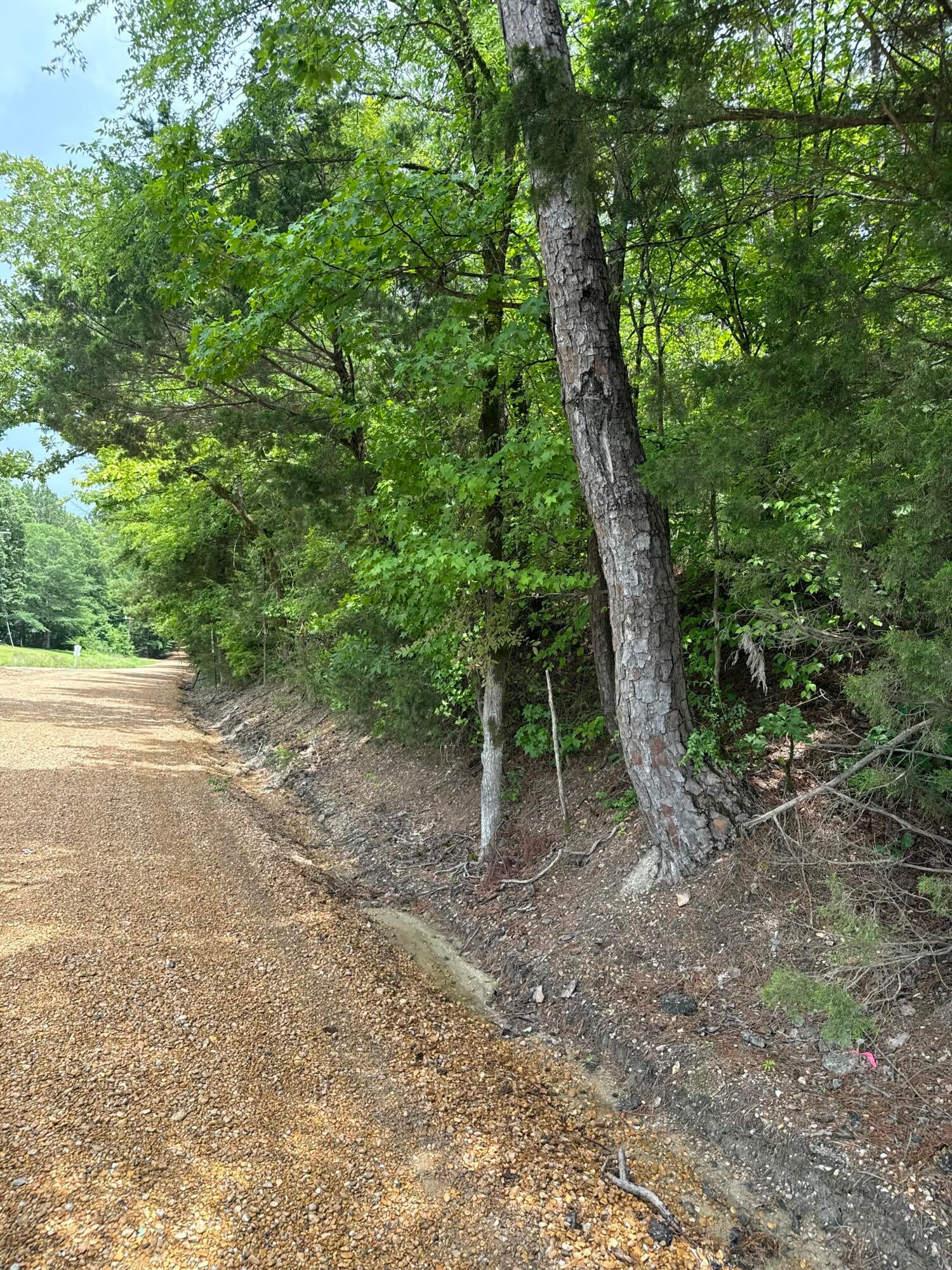 5 Old Gauley Road Calhoun City, MS 38916 - Photo 5 of 13 Gallery Image 5