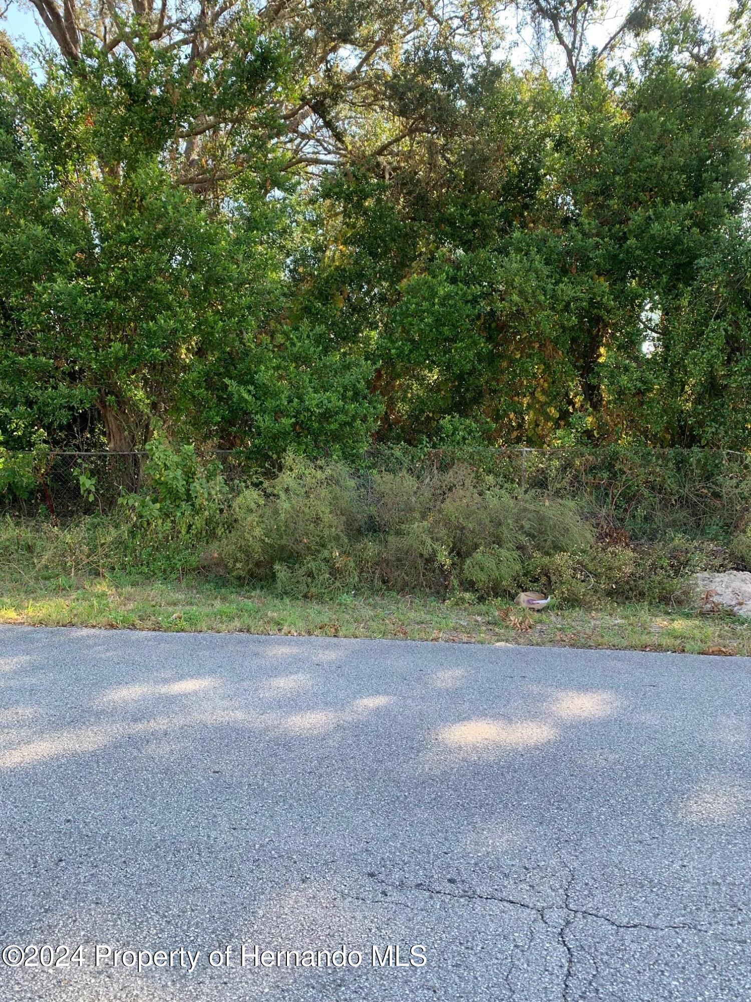 0 Parnell Avenue Spring Hill, FL 34608 - Photo 2 of 3 Gallery Image 2