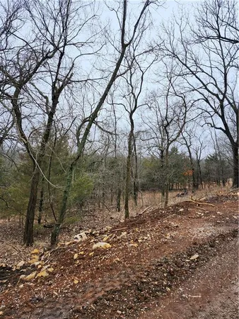 $17,000 | 6-10 Live Oak Lane, Linn Valley, KS 66040