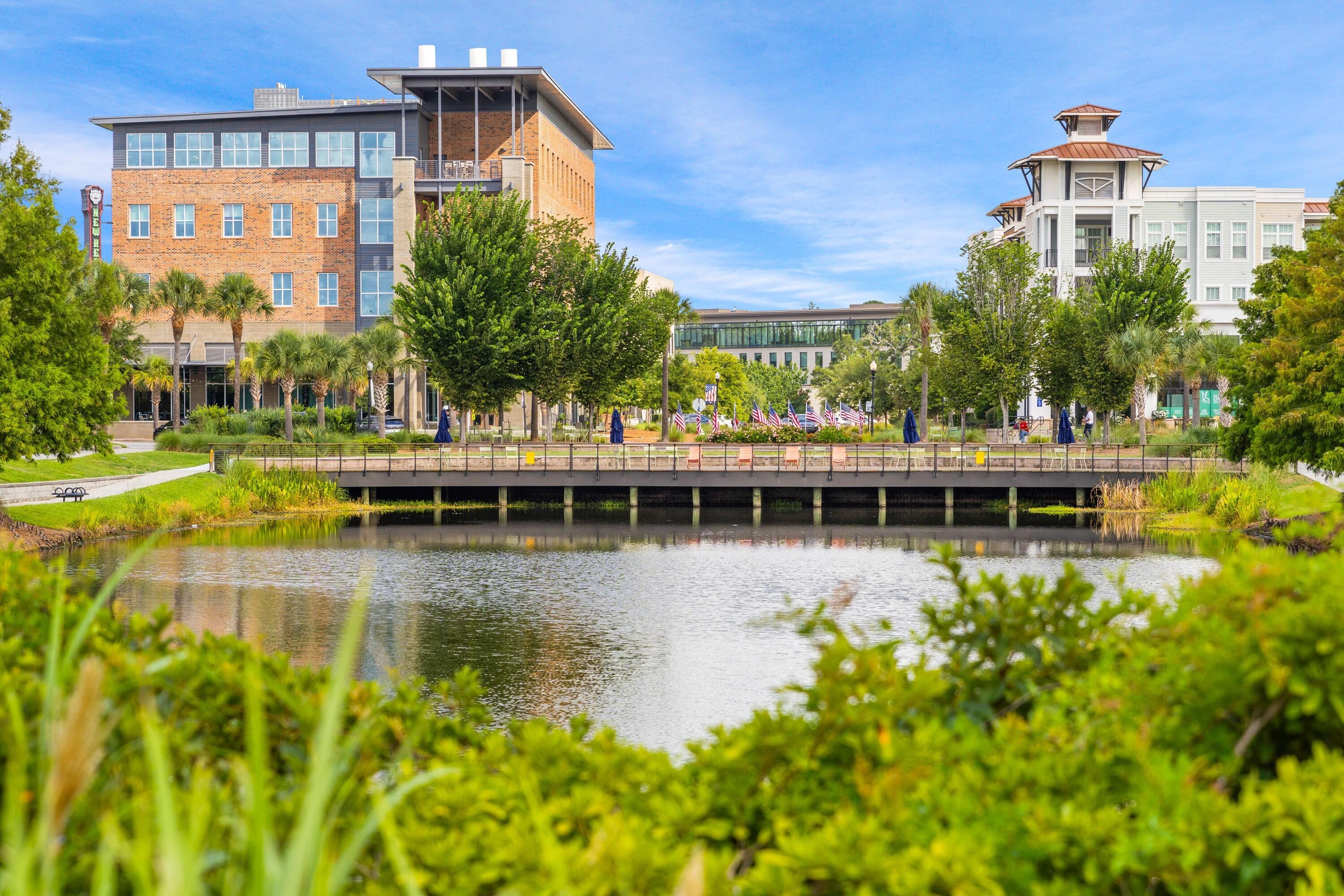 113 Etta Way Daniel Island, SC 29492 - Photo 29 of 39 photo_022