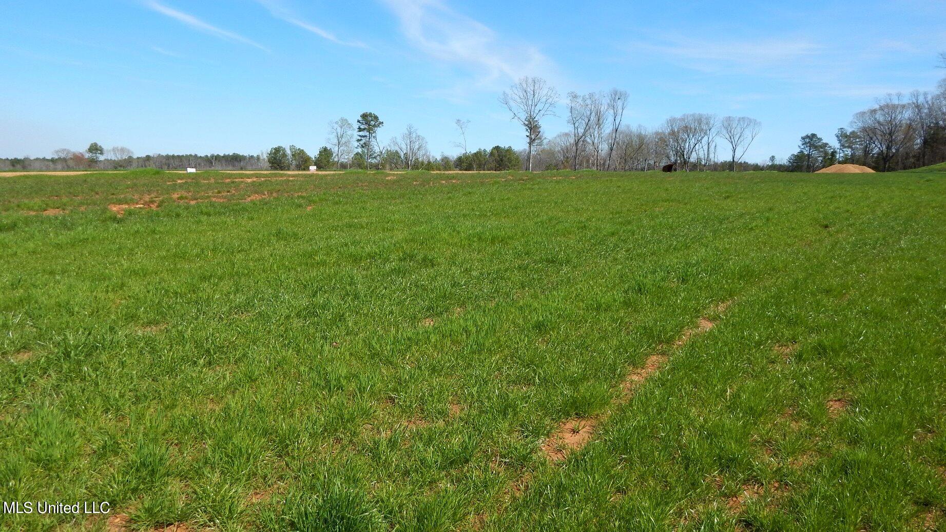 5 Graysport Crossing Road Gore Springs, MS 38929 - Photo 2 of 10 DSCN4976