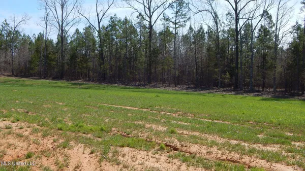 $47,950 | 5 Graysport Crossing Road, Gore Springs, MS 38929