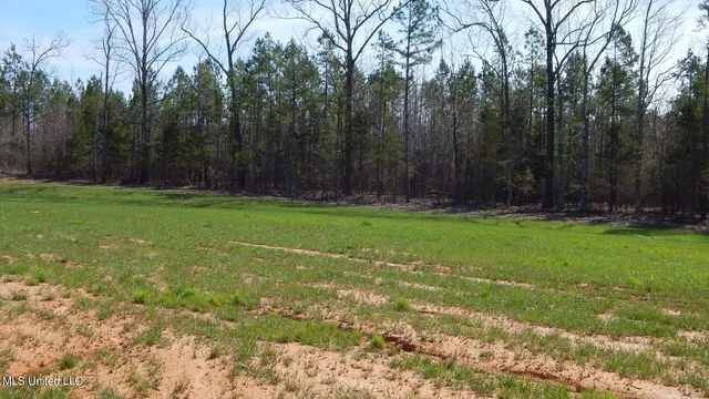 $47,950 | 5 Graysport Crossing Road, Gore Springs, MS 38929