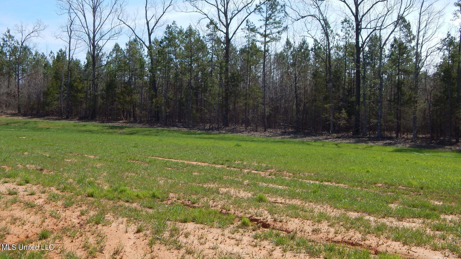 5 Graysport Crossing Road Gore Springs, MS 38929 - Photo 3 of 10 DSCN4973