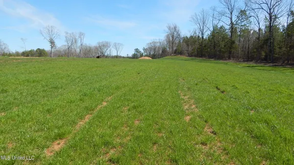 $47,950 | 5 Graysport Crossing Road, Gore Springs, MS 38929