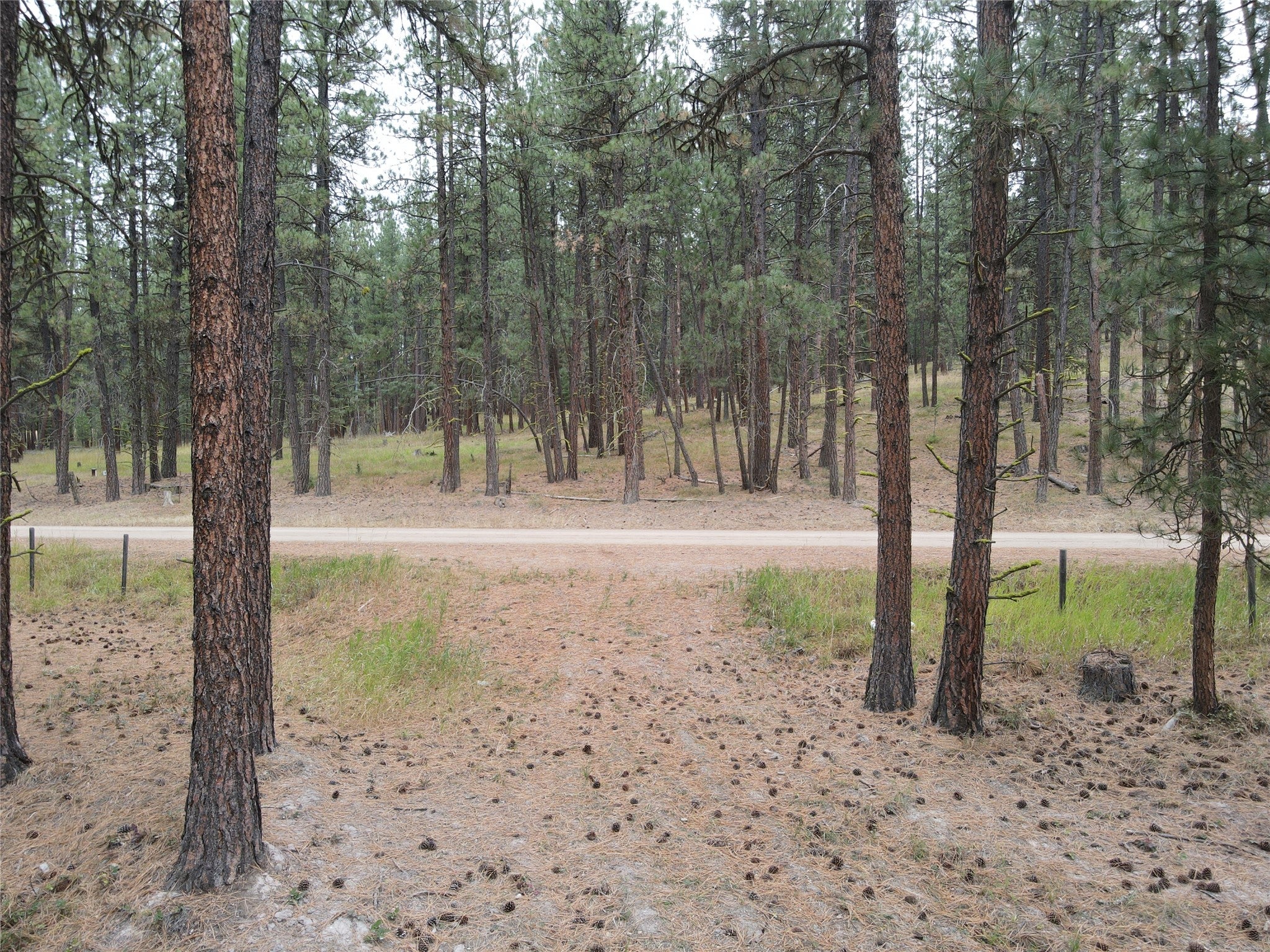 21481 9 Mile Road Huson, MT 59846 - Photo 39 of 43 Gallery Image 39