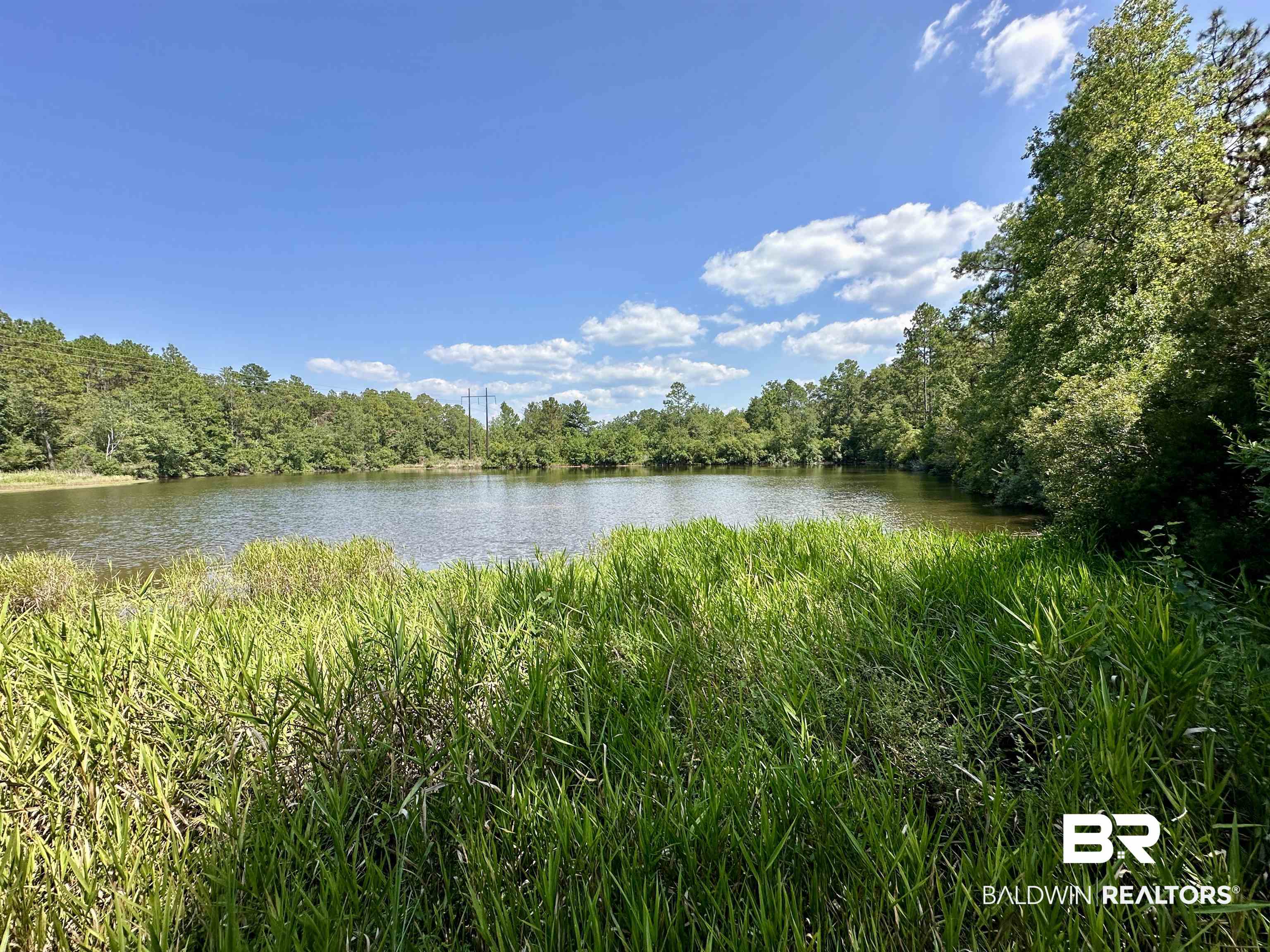 16403 Faulkner Road Bay Minette, AL 36507 - Photo 13 of 48 Lake