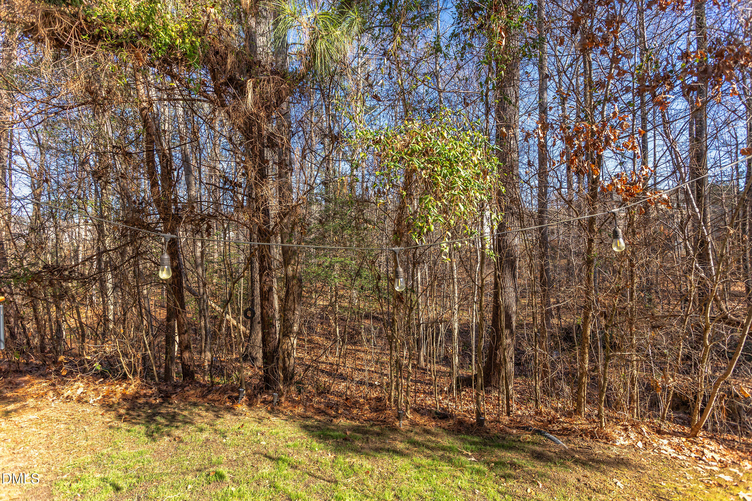 1434 Chatuga Way Wake Forest, NC 27587 - Photo 28 of 31 IMG_4080