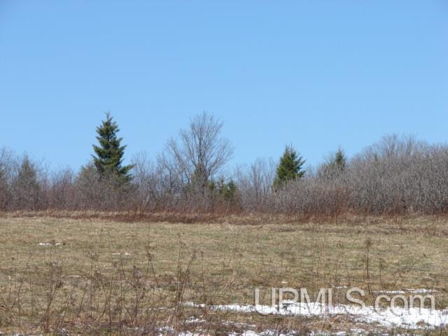 Tbd Section 22 Road Iron River, MI 49935 - Photo 3 of 4