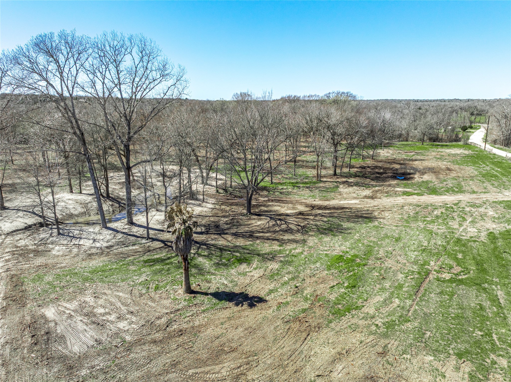 4016 Rd Snook Tx 77878 Road Somerville, TX 77879 - Photo 13 of 18 a view of a field with a tree in the background