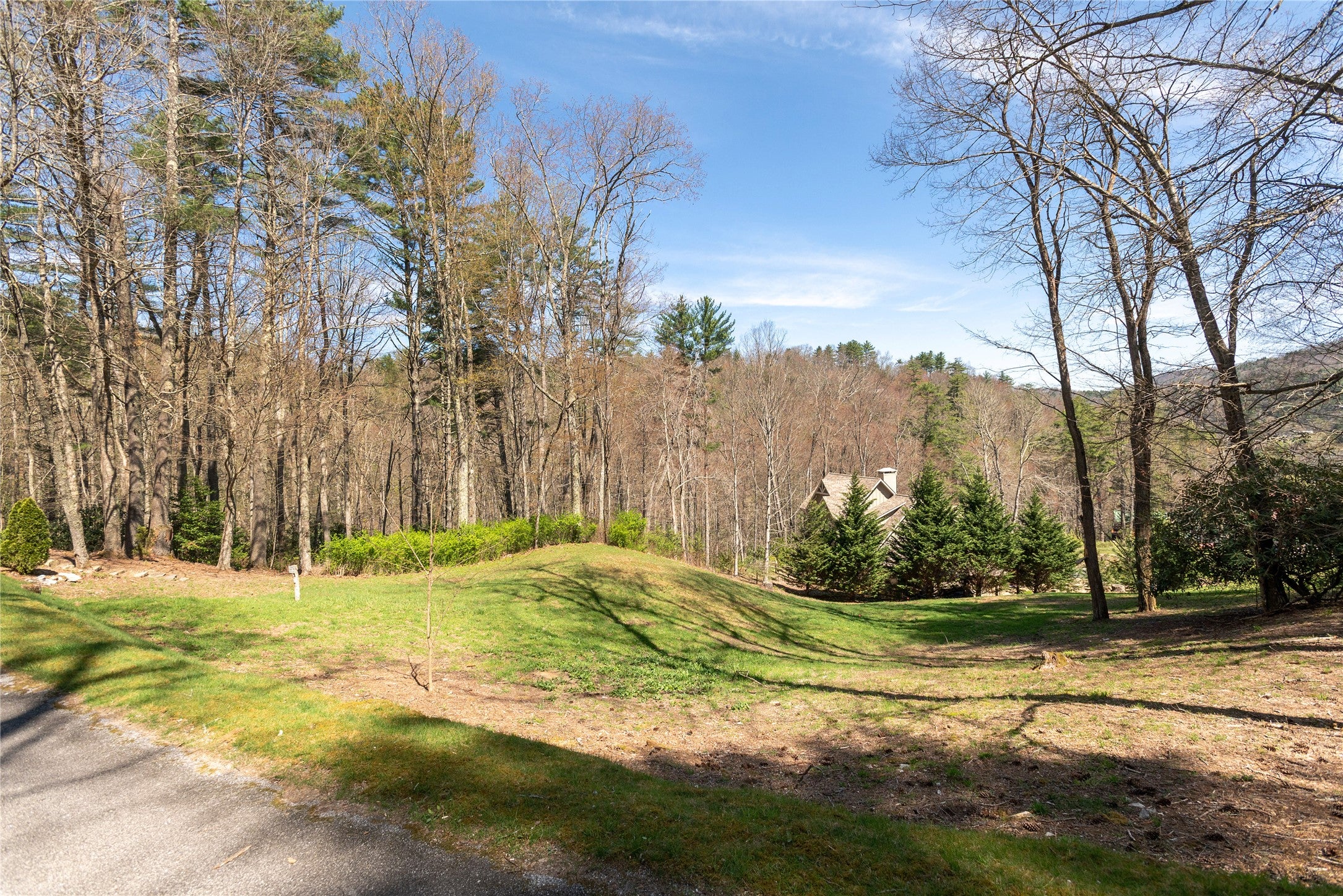 Lot 4 Lot Road Cullowhee, NC 28723 - Photo 4 of 21 Gallery Image 4