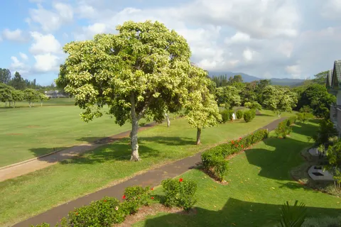 $1,600,000 | 4141 Lei O Papa Road, Unit 3, Princeville, HI 96722
