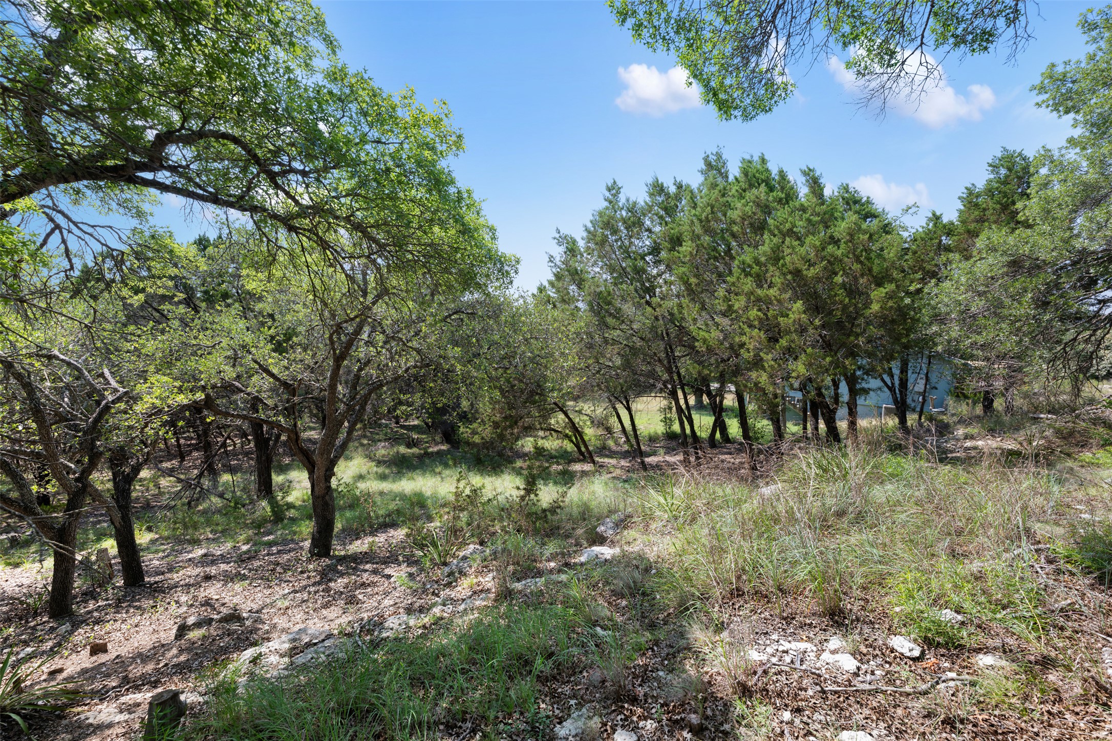21105 Ridgeview Road Lago Vista, TX 78645 - Photo 21 of 34 Mature trees and natural grasses frame a tranquil setting, offering privacy and natural beauty.