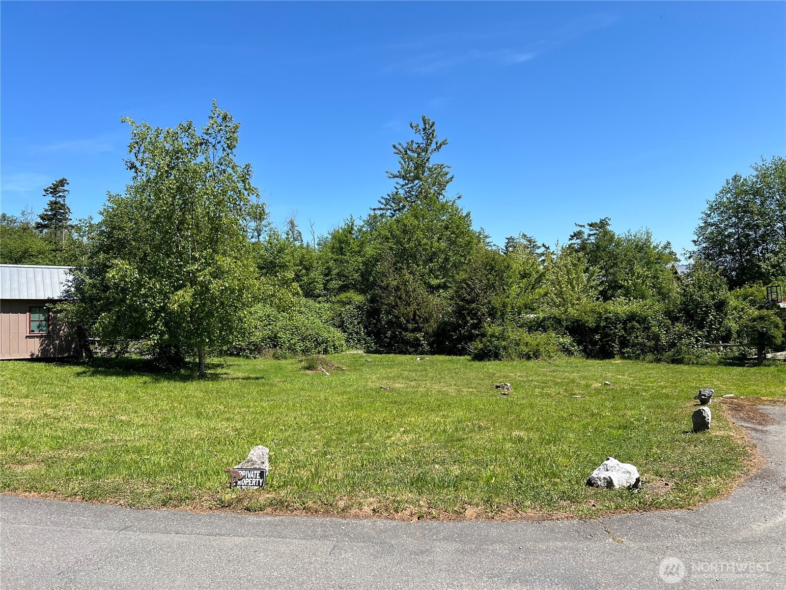 a view of a grassy field with trees