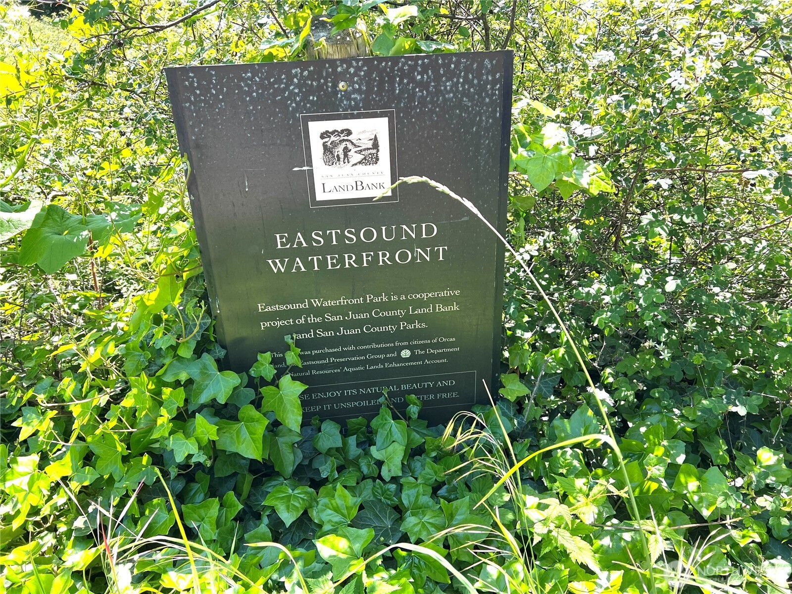 0 Main Street South Orcas Island, WA 98245 - Photo 15 of 18 a sign that is sitting in front of a tree