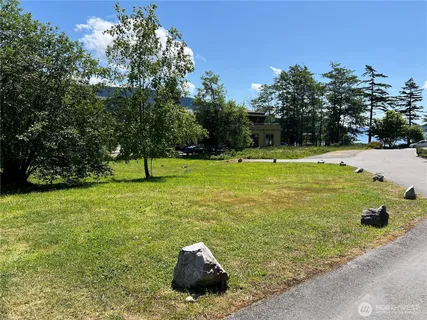 a view of a large trees with a bench