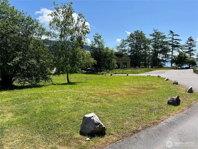 a view of a large trees with a bench