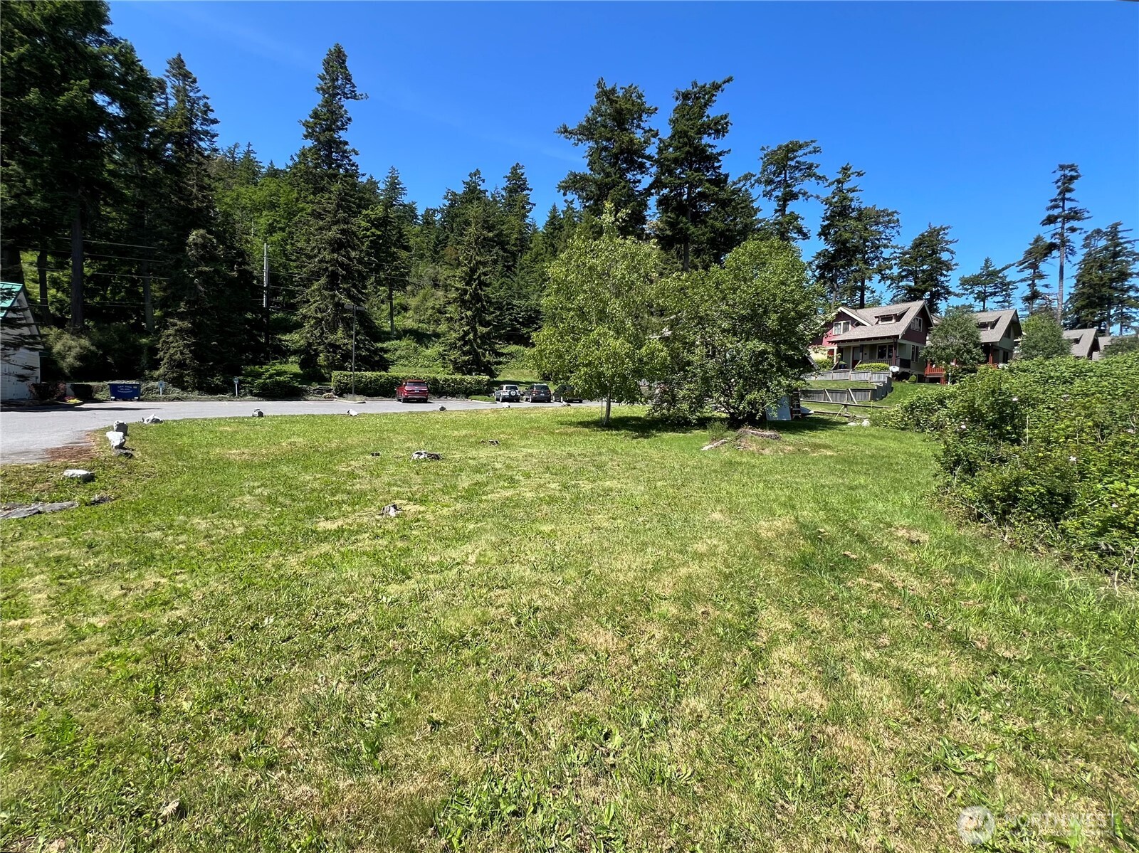 0 Main Street South Orcas Island, WA 98245 - Photo 5 of 18 a view of a field with plants and trees in the background