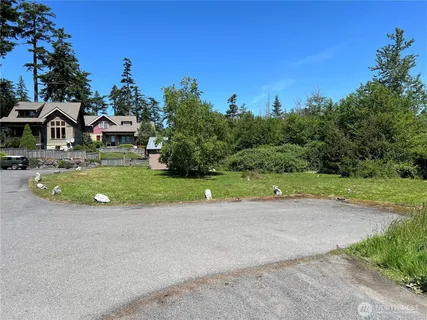 a view of field with tall trees