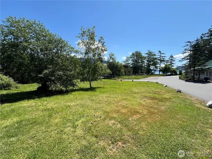 a big yard with lots of green space and plants