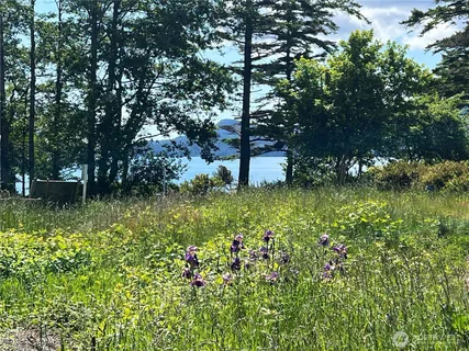 a view of a backyard with a garden