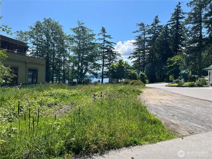 a view of a garden with trees