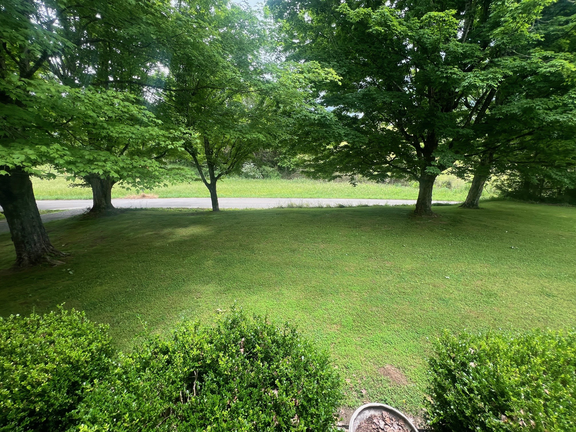 1400 Sumac Road Pulaski, TN 38478 - Photo 35 of 49 a backyard of a house with lots of green space