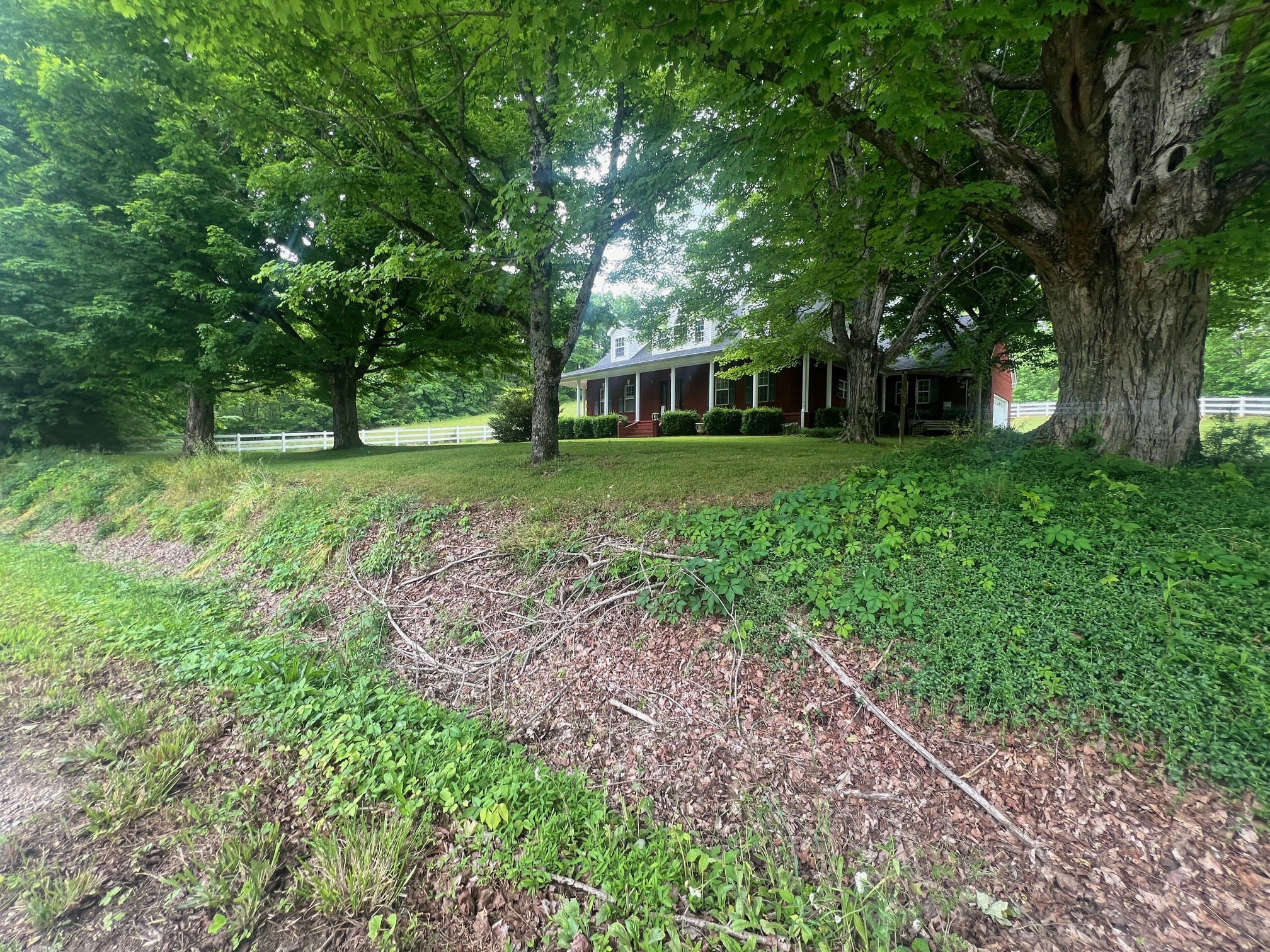 1400 Sumac Road Pulaski, TN 38478 - Photo 36 of 49 a front view of a house with a yard