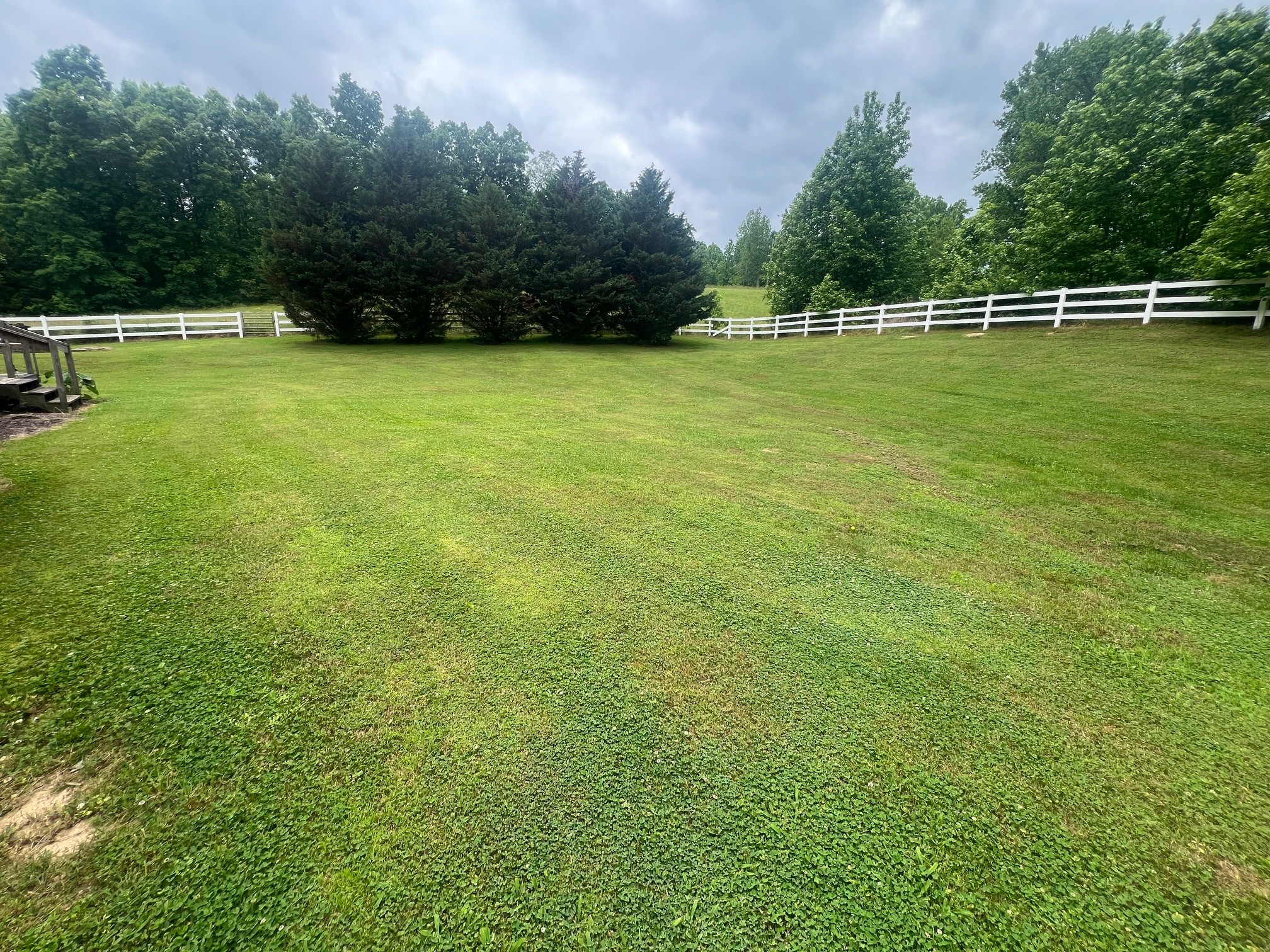 1400 Sumac Road Pulaski, TN 38478 - Photo 42 of 49 a view of a green yard