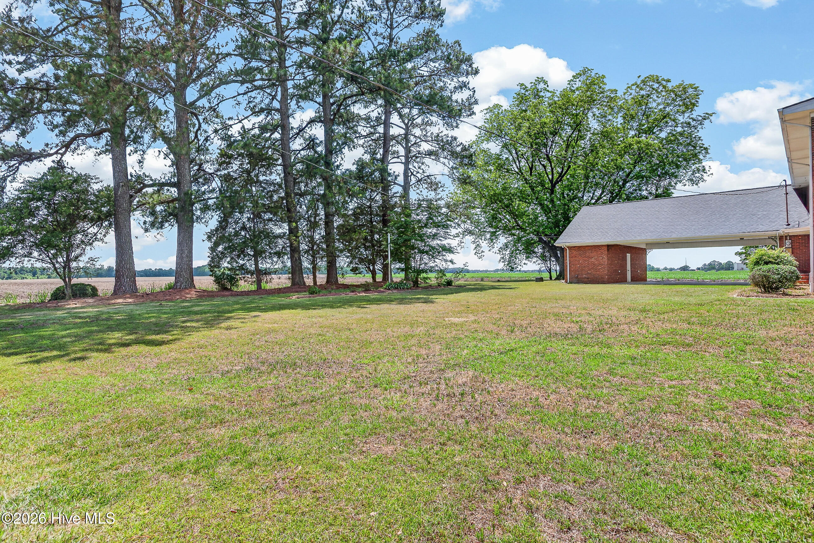 5980 Suttontown Road Faison, NC 28341 - Photo 46 of 63 Backyard