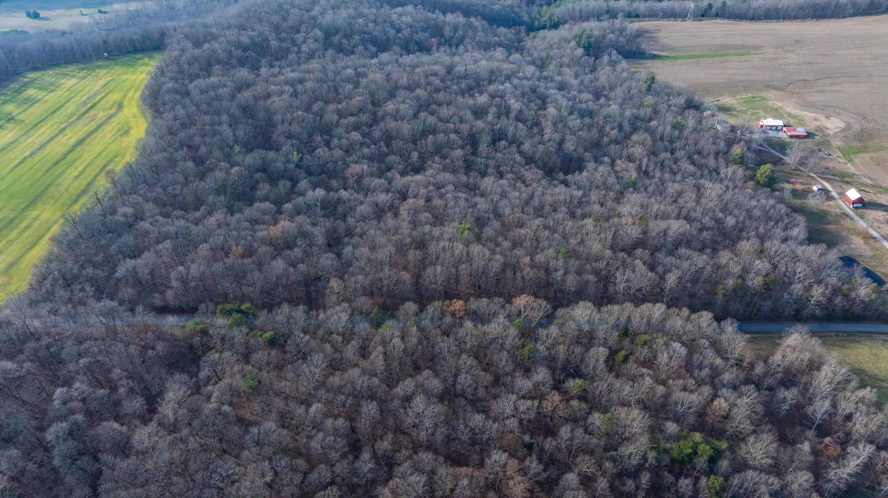 0 Coal Bank Road Sharon Grove, KY 42280 - Photo 14 of 16 DJI_20251212143248_0200_D-HDR