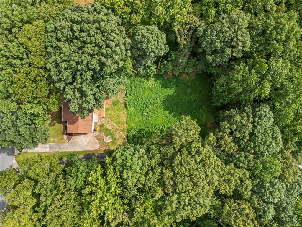 6971 Recreation Lane Acworth, GA 30102 - Photo 19 of 23 a picture of a tree